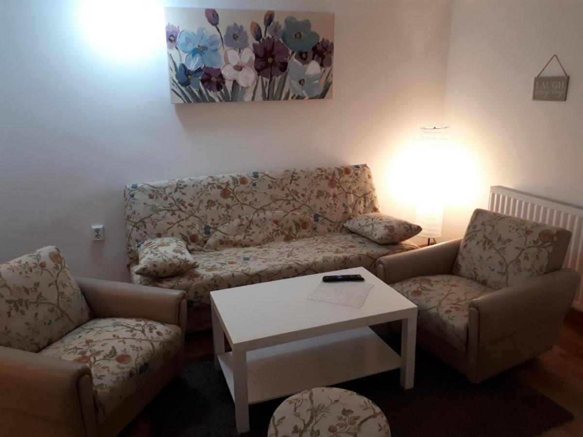 Apartman Ana スラヴォンスキ・ブロド エクステリア 写真