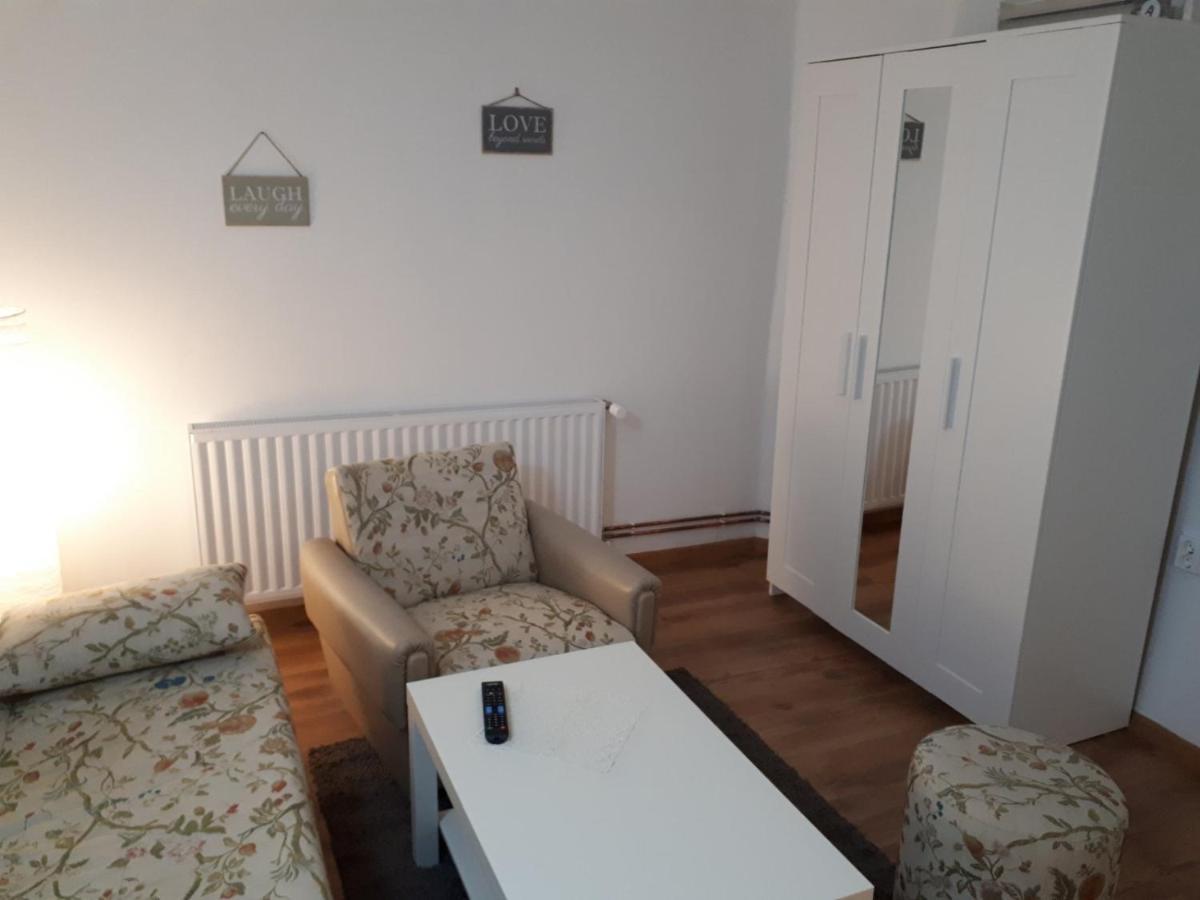 Apartman Ana スラヴォンスキ・ブロド エクステリア 写真