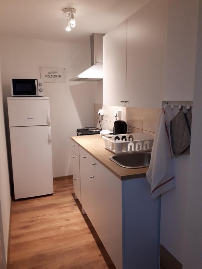 Apartman Ana スラヴォンスキ・ブロド エクステリア 写真